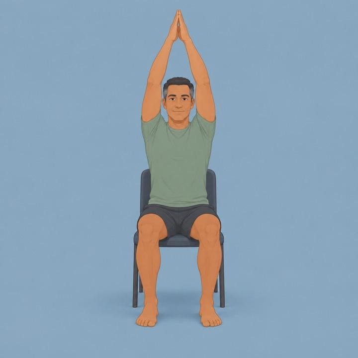 Overhead reach seated illustration